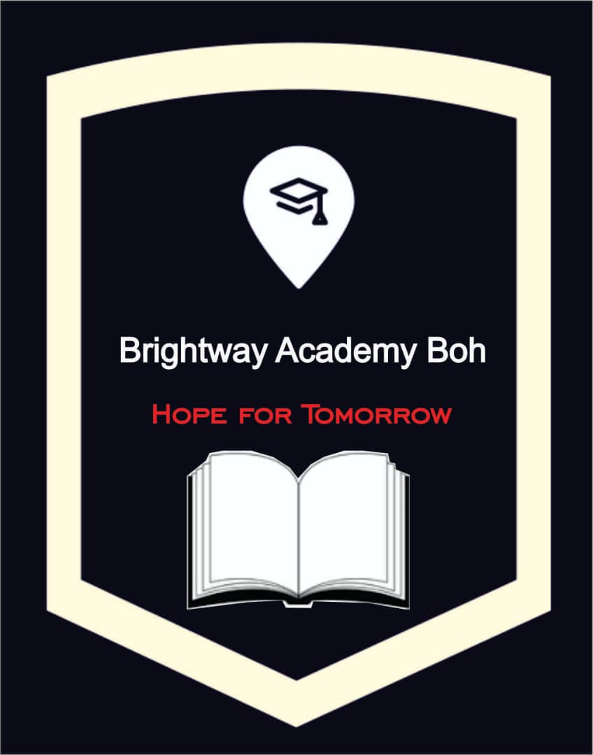 Brightway Academy logo